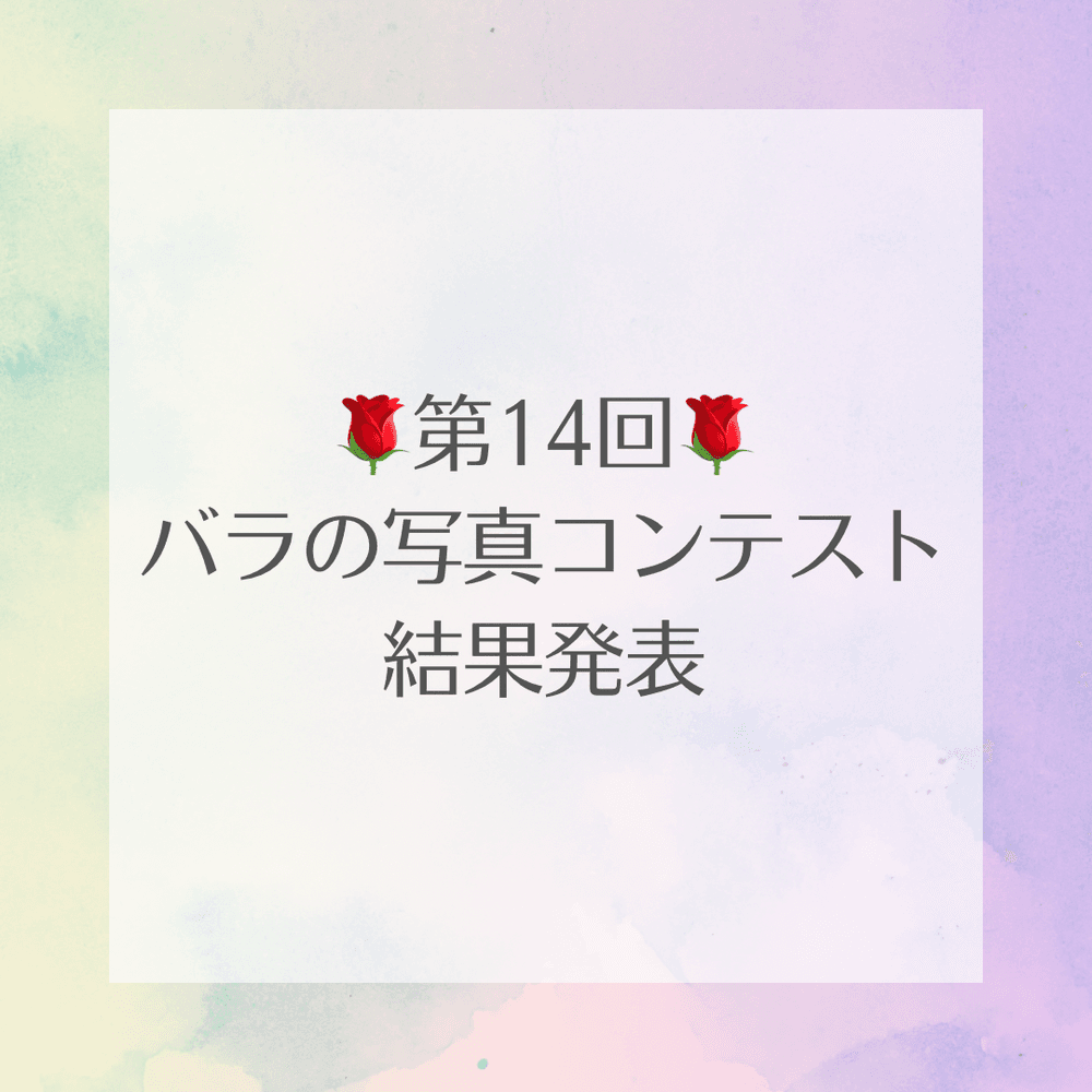 The thumbnail image of 第14回バラの写真コンテスト🌹