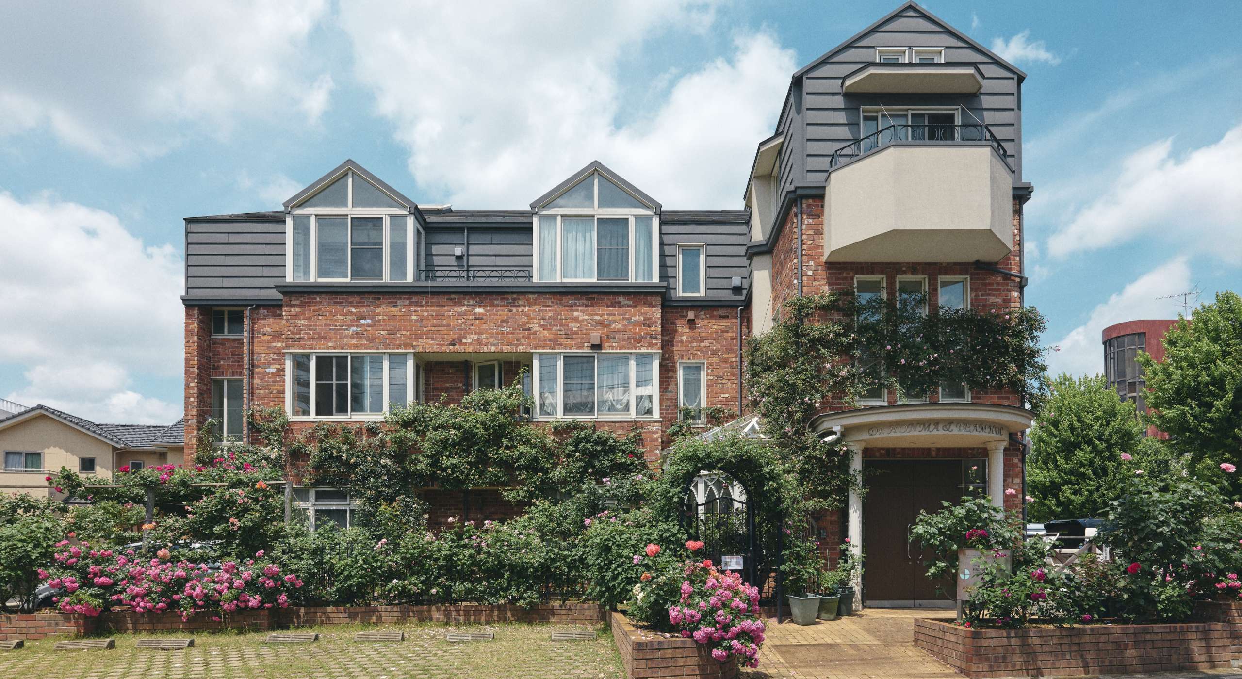 cover image of TREATMENT / 診察内容